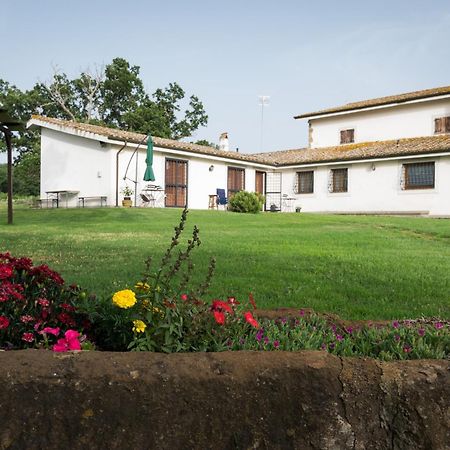 Agriturismo Il Poggio 베트랄라 외부 사진
