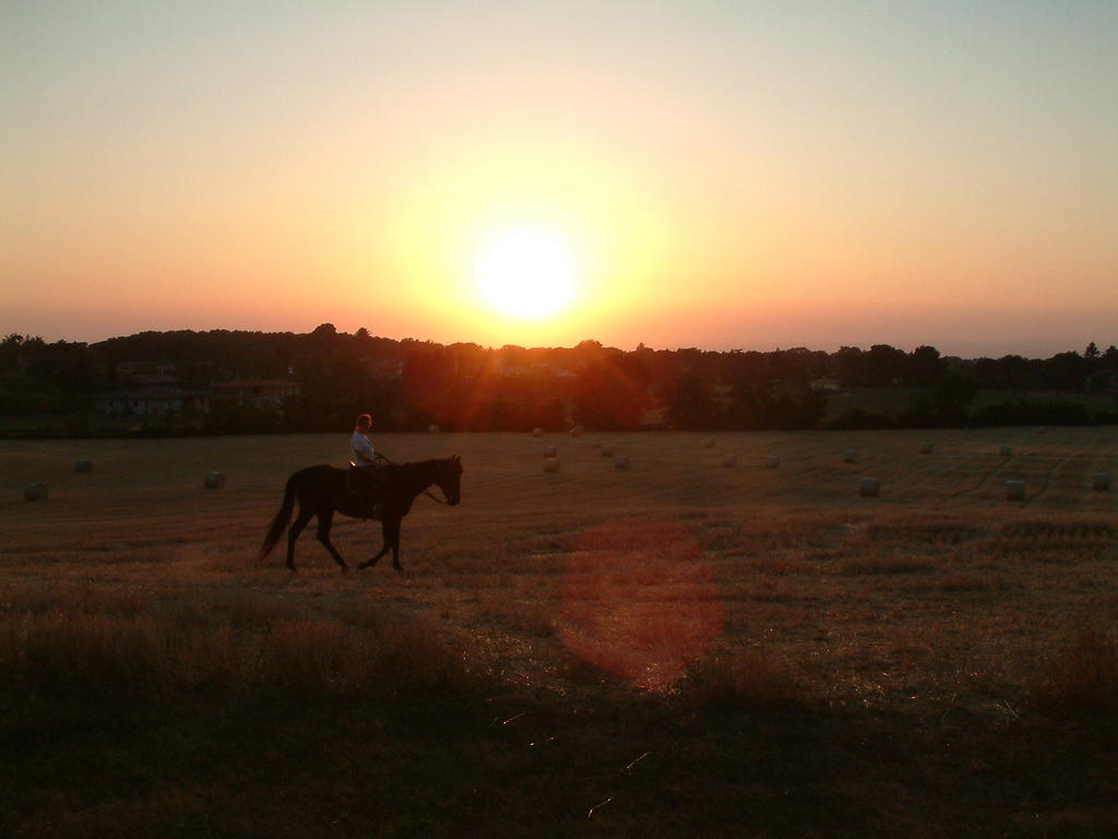 Agriturismo Il Poggio 베트랄라 외부 사진