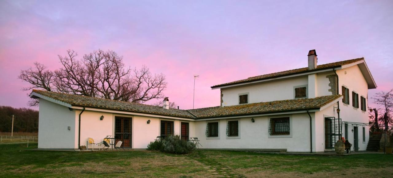 Agriturismo Il Poggio 베트랄라 외부 사진