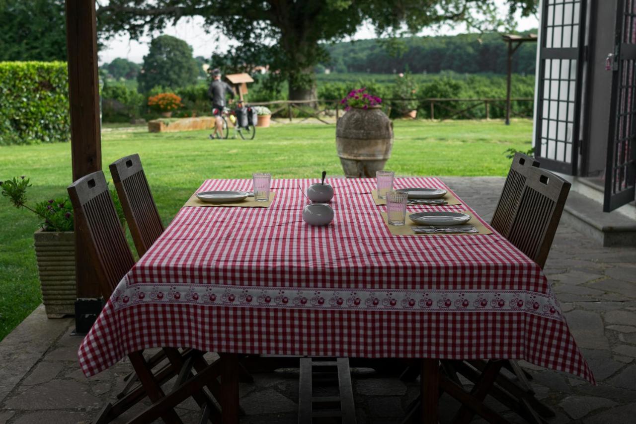 Agriturismo Il Poggio 베트랄라 외부 사진