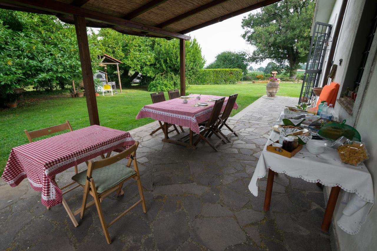 Agriturismo Il Poggio 베트랄라 외부 사진