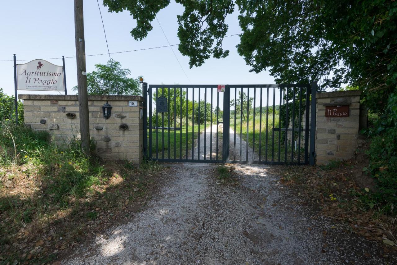 Agriturismo Il Poggio 베트랄라 외부 사진