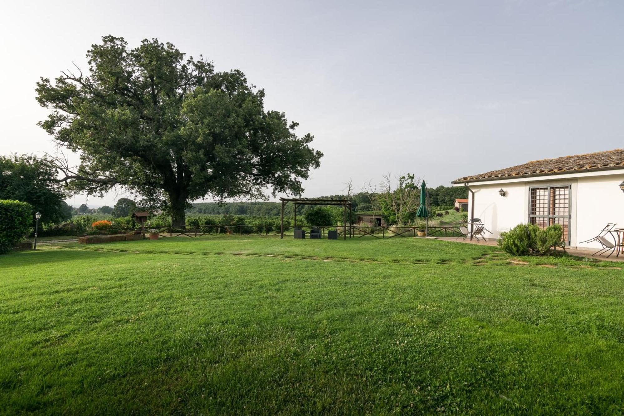 Agriturismo Il Poggio 베트랄라 외부 사진